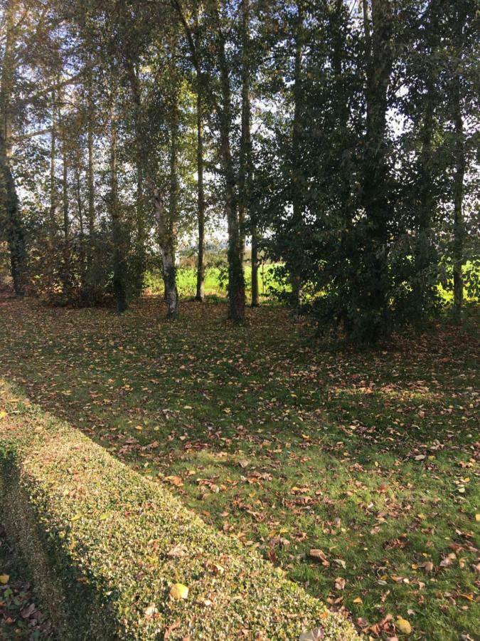 Au Coeur De La Flandre Noordpeene Exterior foto