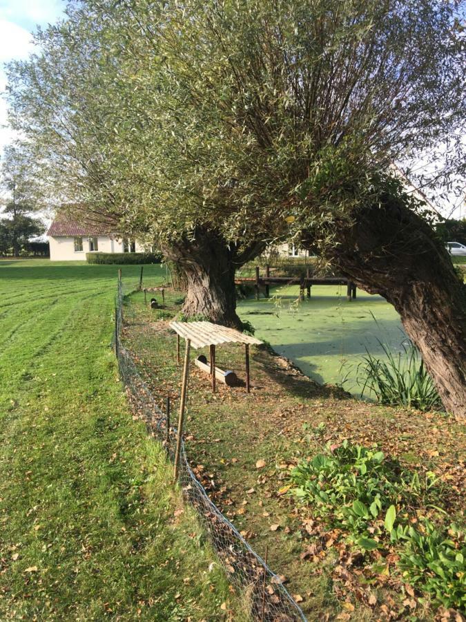 Au Coeur De La Flandre Noordpeene Exterior foto