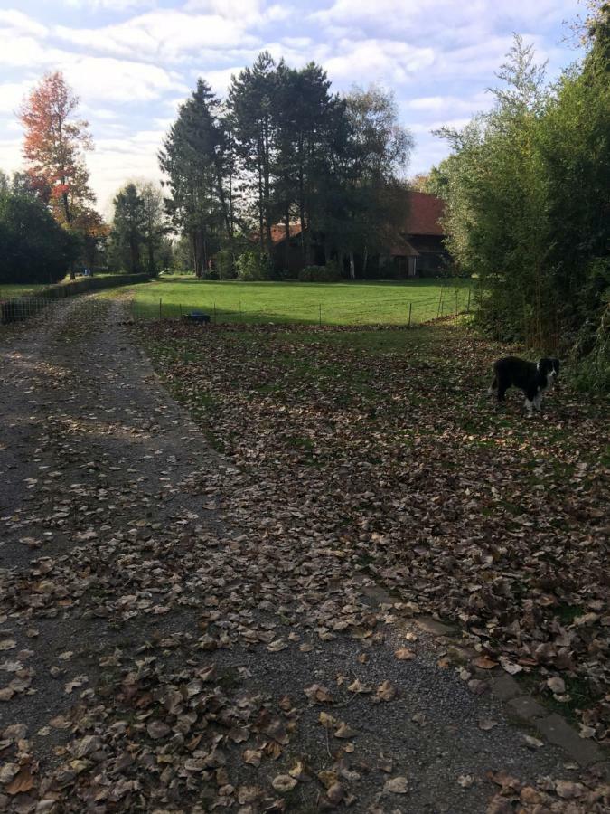 Au Coeur De La Flandre Noordpeene Exterior foto