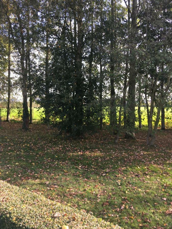 Au Coeur De La Flandre Noordpeene Exterior foto
